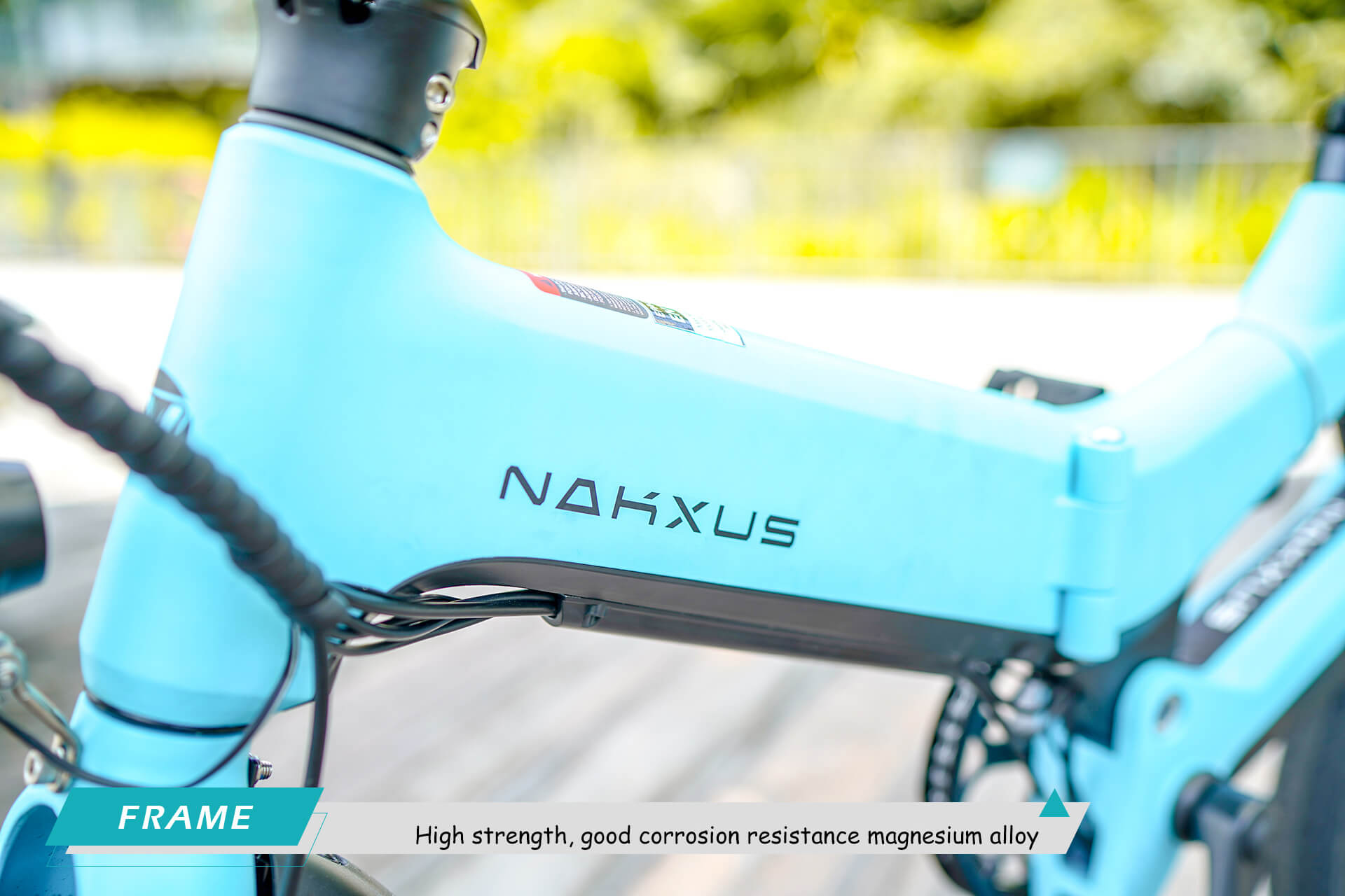 NAKXUS NF1 LTA approved electric bicycle magnesium alloy frame