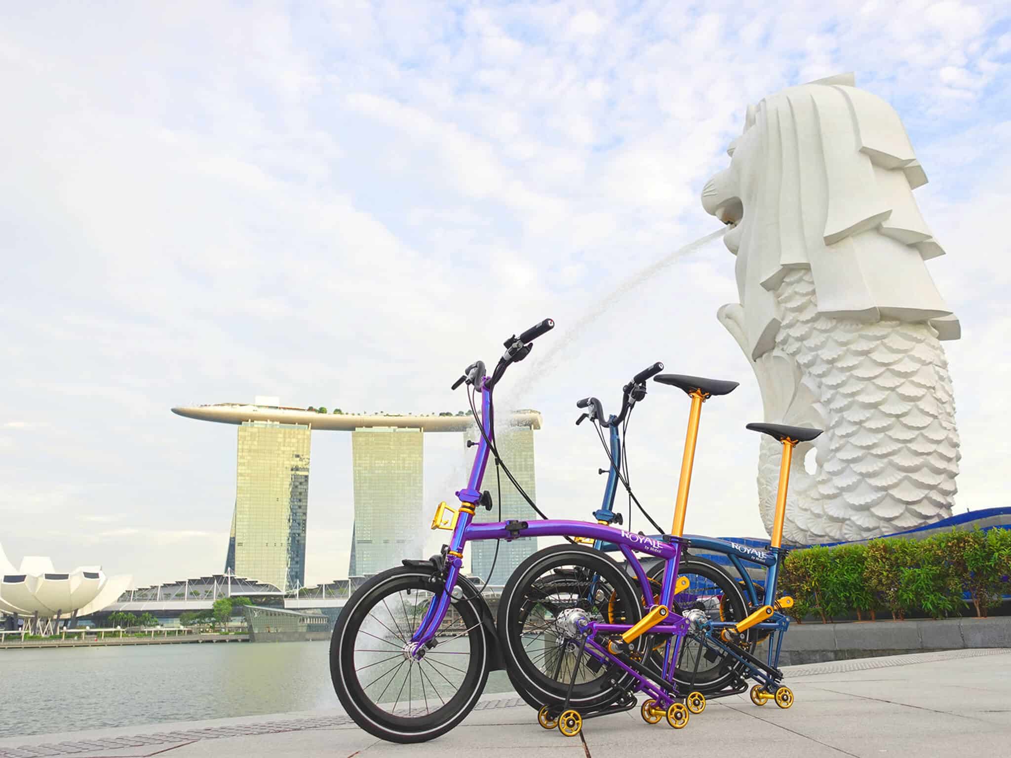 Royale GT M9 METALLIC PURPLE NAVY BLUE Foldable Bicycle Gold Edition at Merlion Park  - Top 8 Cycling Routes On A Foldable Bicycle In Singapore